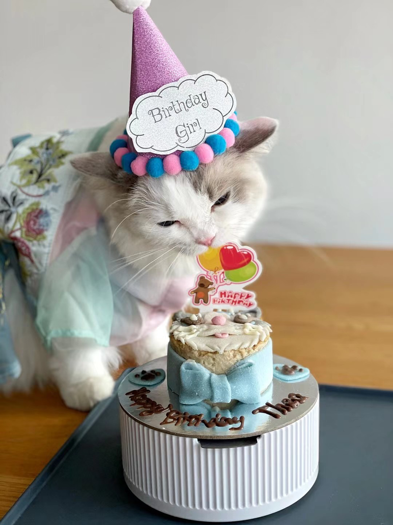 Supaw Pet Bakery Melbourne - Dog Birthday Cake | Cupcakes | Pet Treats