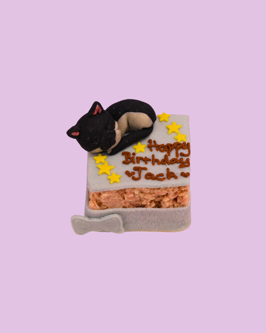 Portrait Cake For Cat