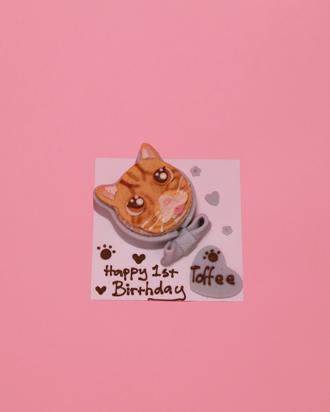 Portrait Cake For Cat