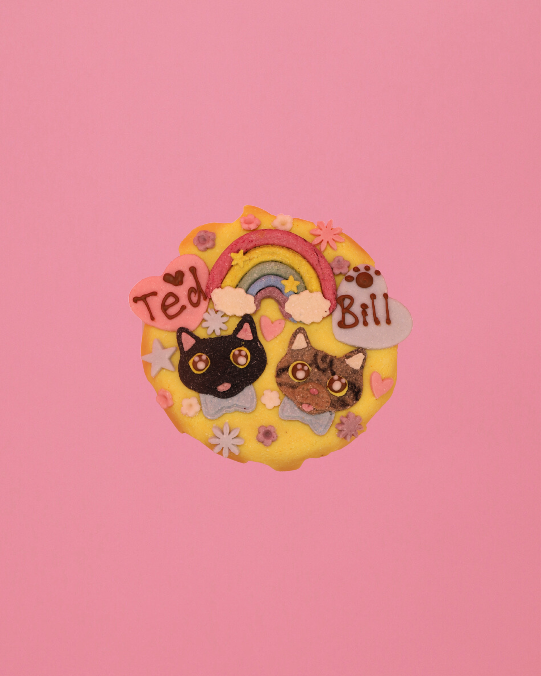 Portrait Cake For Cat