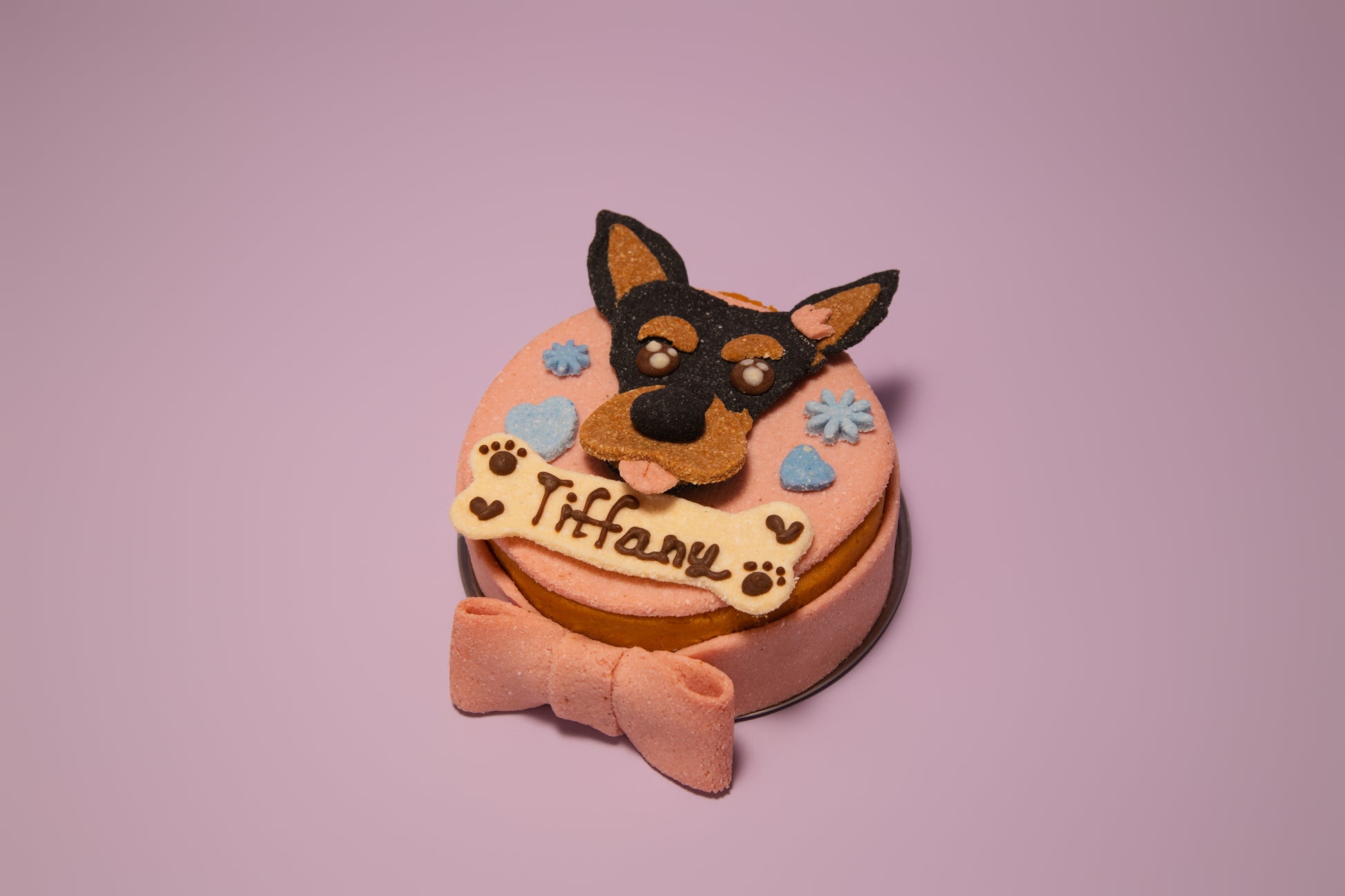Portrait Cake For Dog