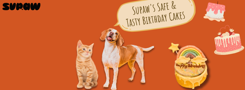 Safe and Nutritious Birthday Cakes Your Pet Can Trust