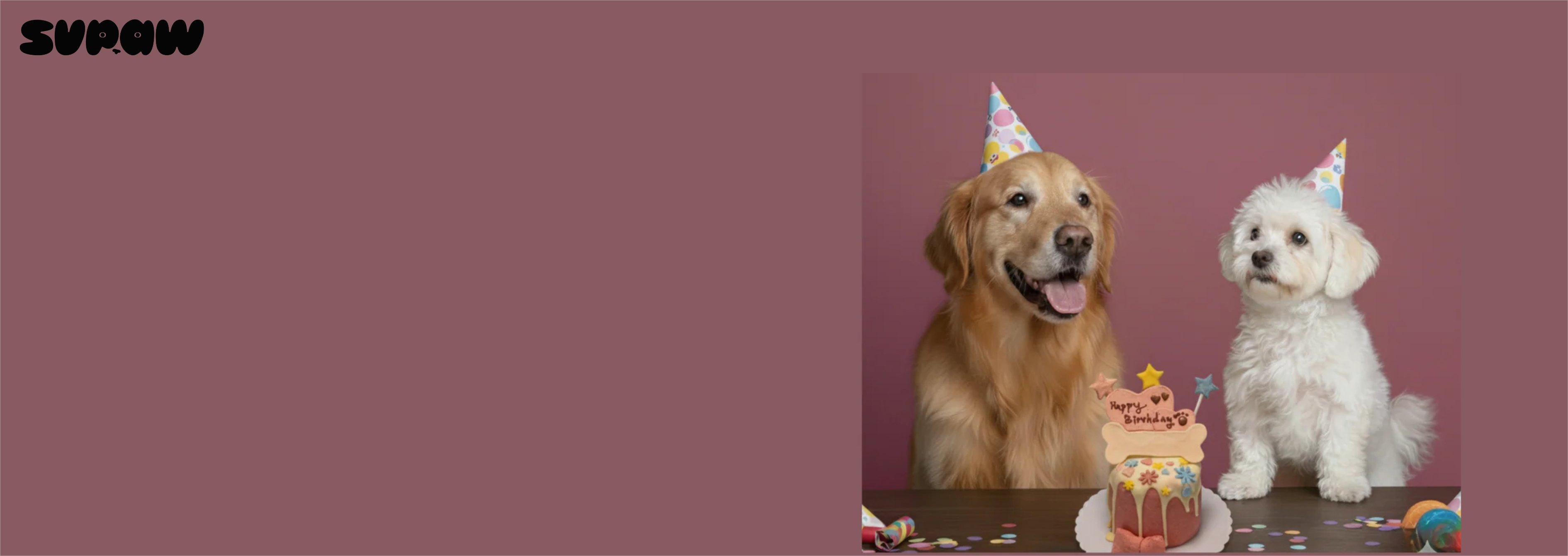What to Write on a Dog Birthday Cake: 25 Cute & Funny Ideas