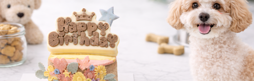 Custom Dog Cakes in Melbourne: Everything You Need to Know