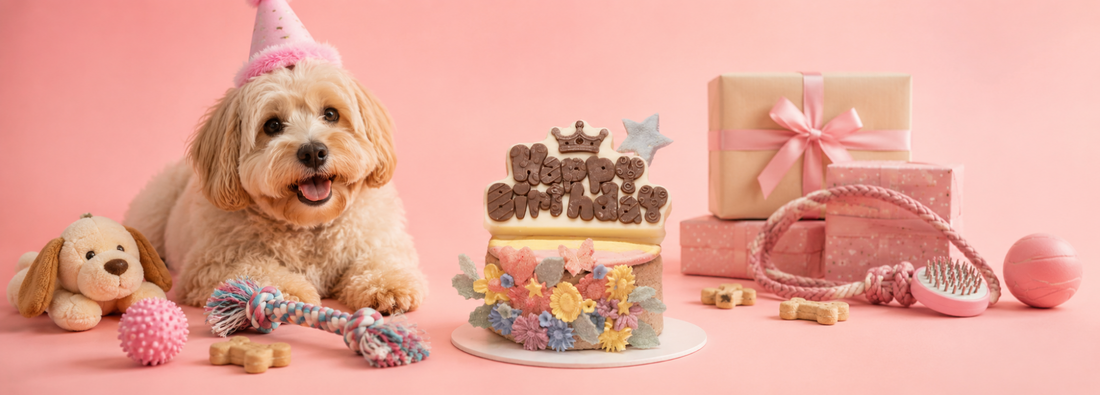 Dog Birthday Gifts That Pair Perfectly With a Custom Dog Birthday Cake
