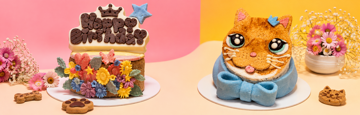 What's the Difference Between Dog Cakes and Cat Cakes?