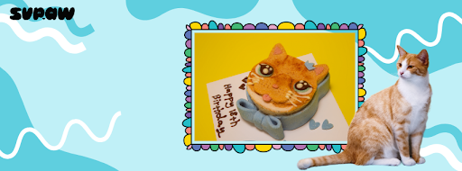 Cat Birthday Cake Guide – Safe & Tasty Treats for Your Feline Friend