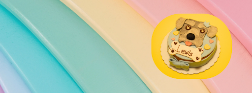 Holiday Pet Cake: Festive Flavours for Every Season