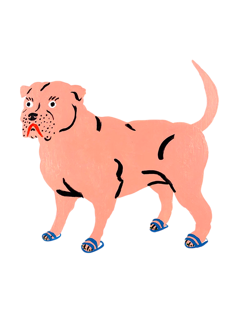 Portrait Cakes for Dog