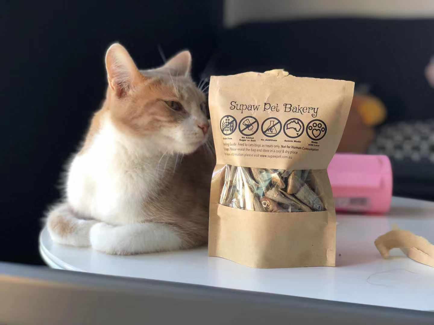 Air-Dried Fish Treat