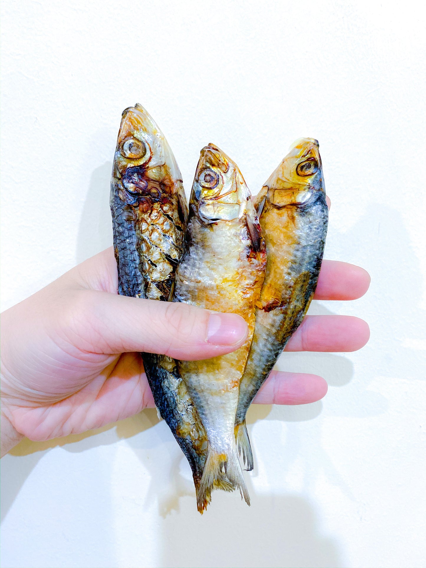 Air-Dried Fish Treat