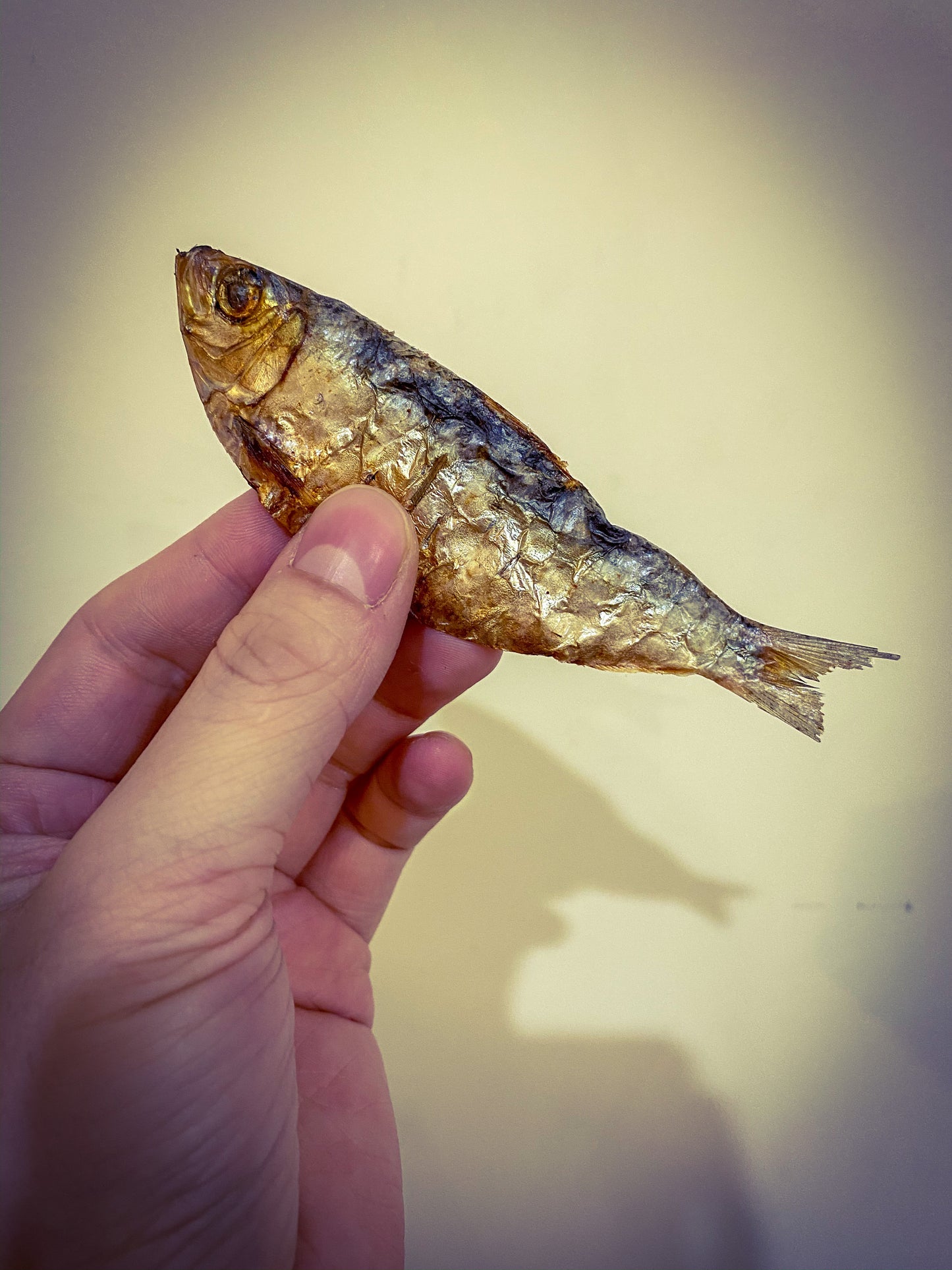Air-Dried Fish Treat