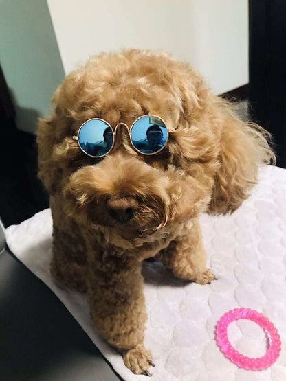 Cool Sunglasses Shades