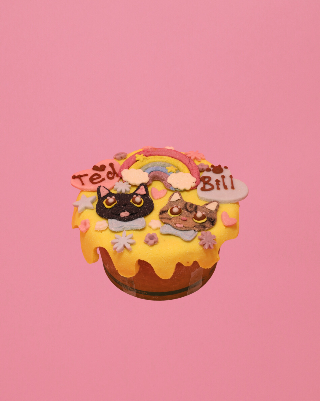 Portrait Cake For Cat