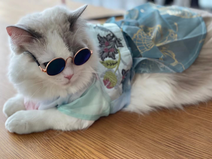 Cool Sunglasses Shades
