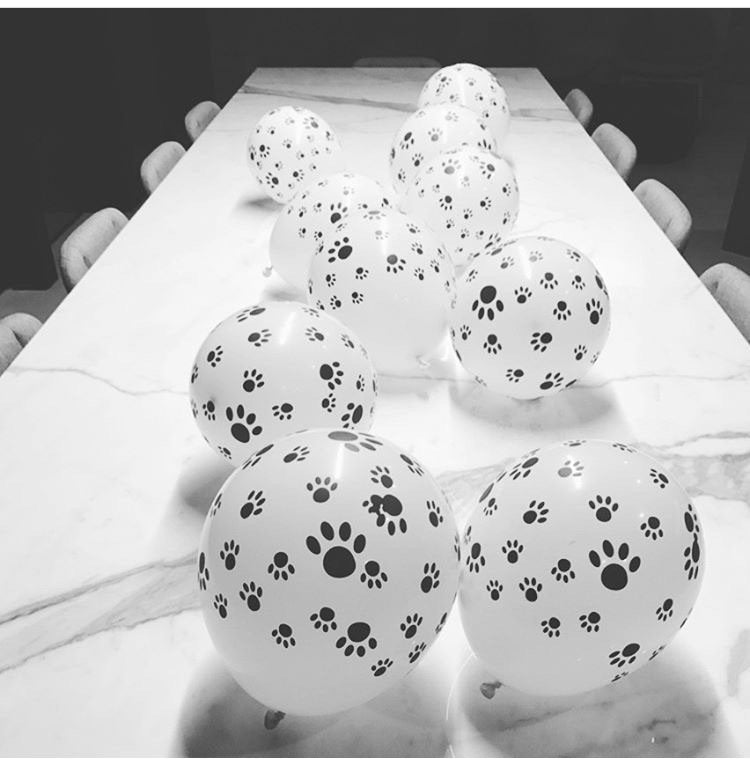 Pawty Paw Print Balloons 8-9pcs