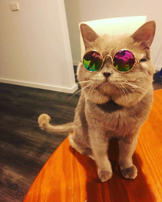 Cool Sunglasses Shades