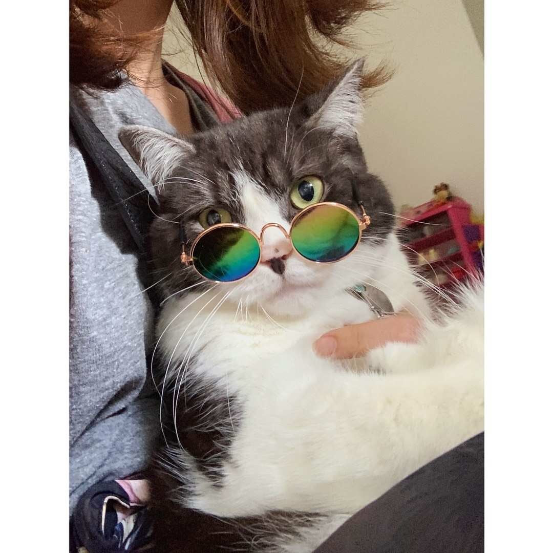 Cool Sunglasses Shades