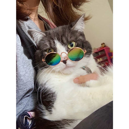Cool Sunglasses Shades