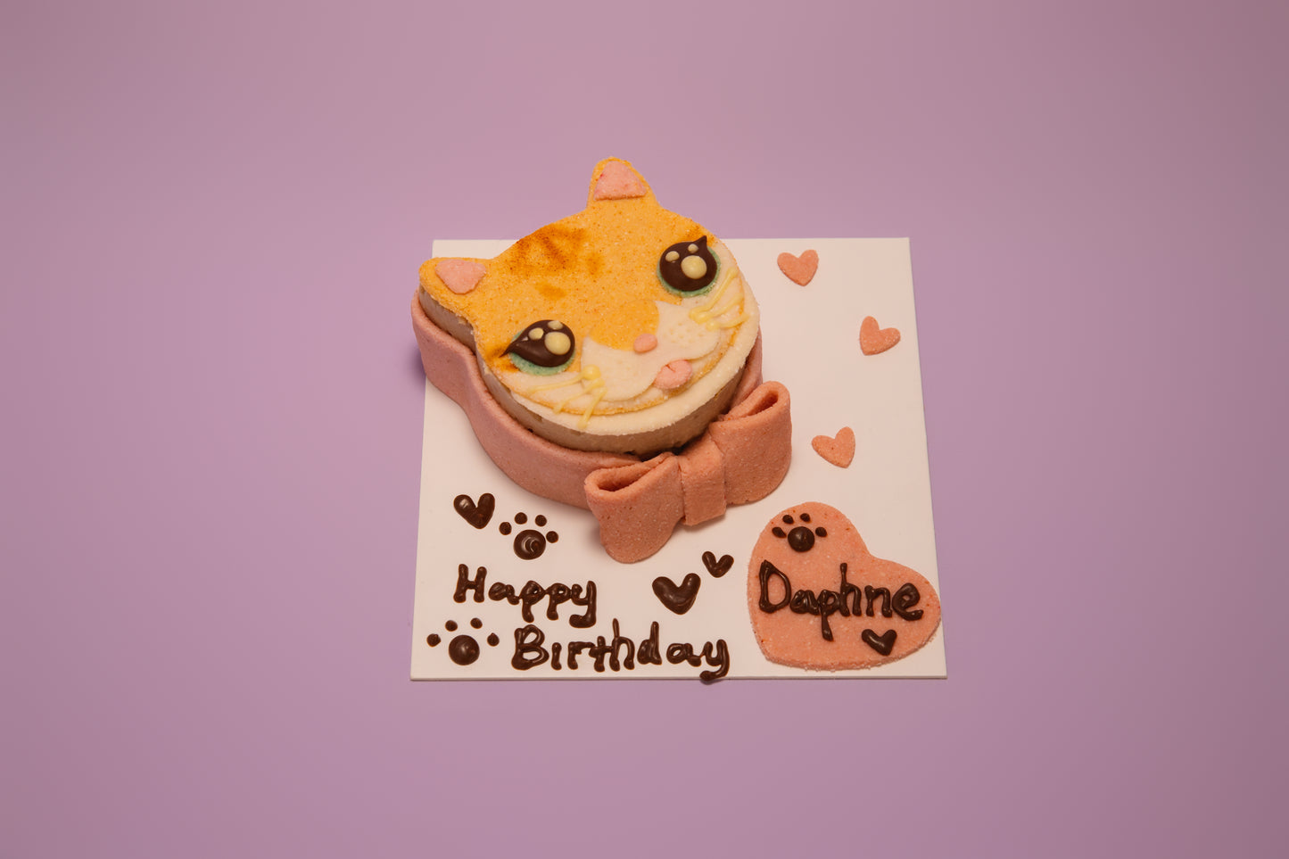 Portrait Cake For Cat